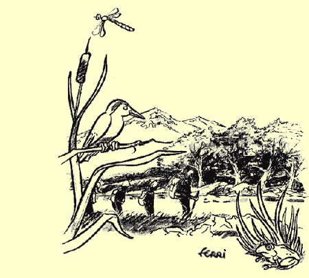 dessin Jean-Yves Ferri